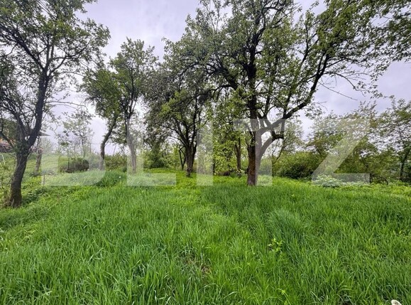 Casa de vânzare 2 camere Exterior Est - 157254CV | BLITZ Bistriţa | Poza6