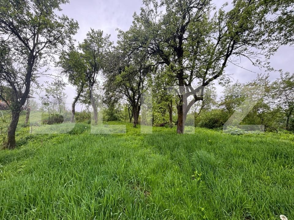 Casa de vânzare 2 camere Exterior Est - 157254CV | BLITZ Bistriţa | Poza6