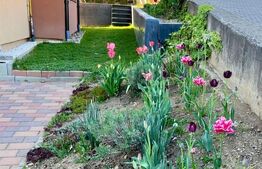 Apartament, 3 camere, 90mp, zona Valea Rusului