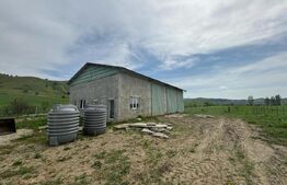 Hala, 230mp , zona Sud