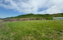 Hala, 230mp , zona Sud