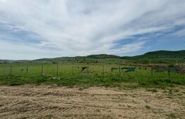 Hala, 230mp , zona Sud