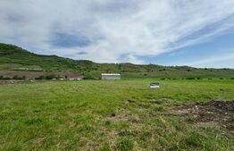 Spațiu comercial de vânzare Viișoara - 139105SVC | BLITZ Bistriţa | Poza1