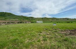 Hala, 230mp , zona Sud