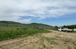 Hala, 230mp , zona Sud