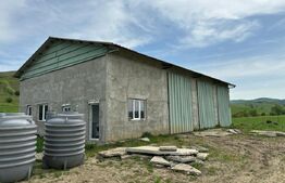 Hala, 230mp , zona Sud