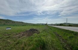 Hala, 230mp , zona Sud