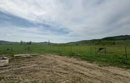 Hala, 230mp , zona Sud