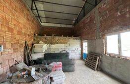 Hala, 230mp , zona Sud