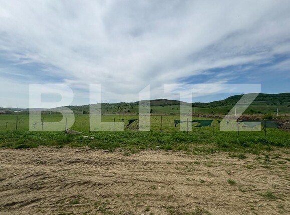 Spațiu comercial de vânzare Sud - 157256SVC | BLITZ Bistriţa | Poza2