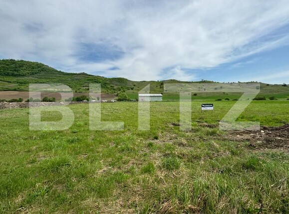 Spațiu comercial de vânzare Sud - 157256SVC | BLITZ Bistriţa | Poza7