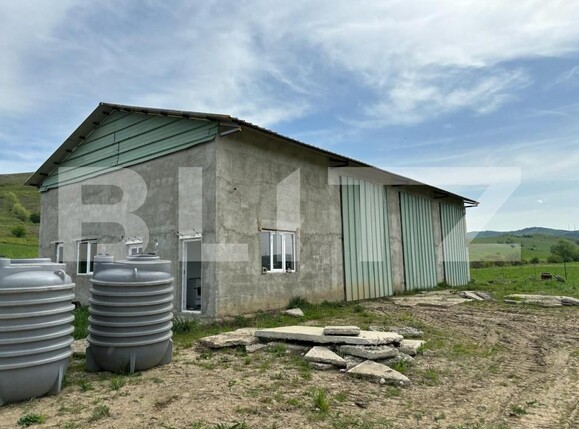 Spațiu comercial de vânzare Sud - 157256SVC | BLITZ Bistriţa | Poza12