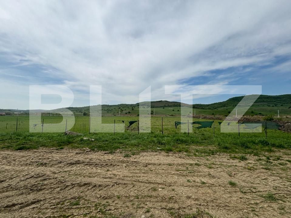 Spațiu comercial de vânzare Sud - 157256SVC | BLITZ Bistriţa | Poza2