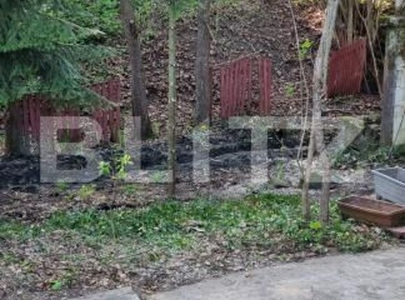 Casa de vânzare 4 camere Central - 157258CV | BLITZ Bistriţa | Poza13