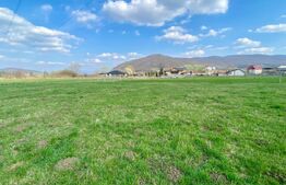 Teren Intravilan, 10 arii în Sărățel