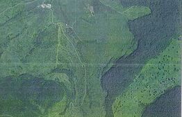 Teren extravilan 49300mp, zona Ghinda