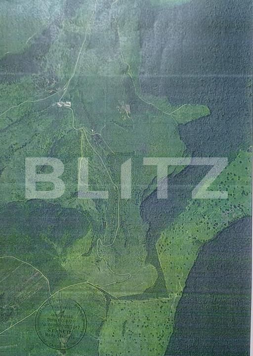 Teren de vânzare Dorolea - 157264TV | BLITZ Bistriţa | Poza1