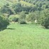 Teren de vânzare Est - 157322TV - Poza 1 din 1 | BLITZ Bistriţa | Poza1