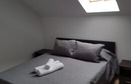 Casa individuala cu 6 dormitoare- 5 ari de teren- Beclean