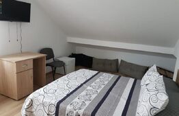 Casa individuala cu 6 dormitoare- 5 ari de teren- Beclean