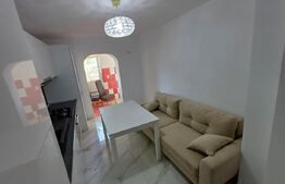 Apartament cu 1 camera,   Zona NORD,   PARTER INALT