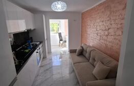Apartament cu 1 camera,   Zona NORD,   PARTER INALT