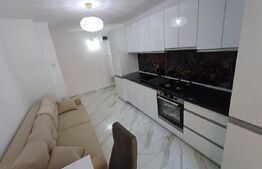 Apartament cu 1 camera,   Zona NORD,   PARTER INALT