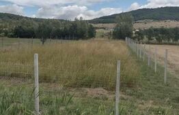 Teren INTRAVILAN 8 ari,  17KM de Bistrita