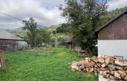 Casa de vanza in  comuna Anies