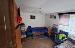 Cabana 70 mp,teren 1200 mp,livada+vita de vie,zona Valea Ghinzi
