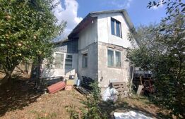 Cabana 70 mp,teren 1200 mp,livada+vita de vie,zona Valea Ghinzi