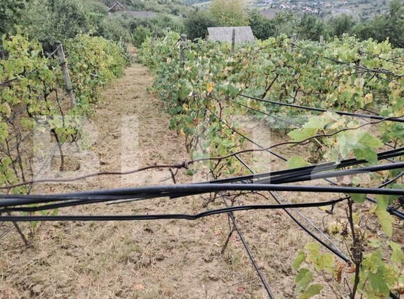 Casa de vânzare 2 camere Periferie - 157648CV | BLITZ Bistriţa | Poza5