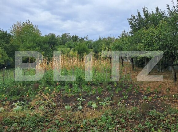 Casa de vânzare 2 camere Periferie - 157648CV | BLITZ Bistriţa | Poza6