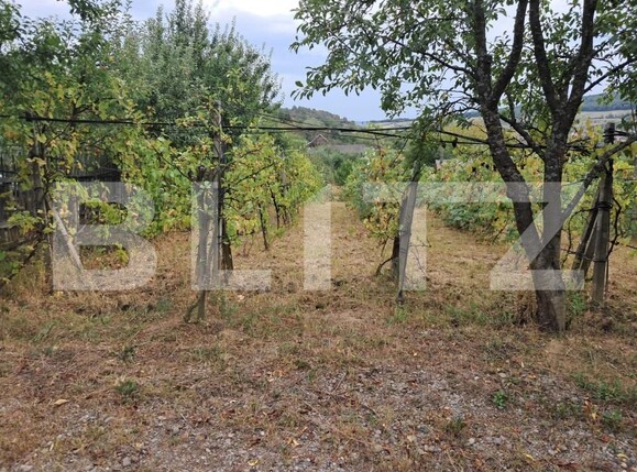 Casa de vânzare 2 camere Periferie - 157648CV | BLITZ Bistriţa | Poza4