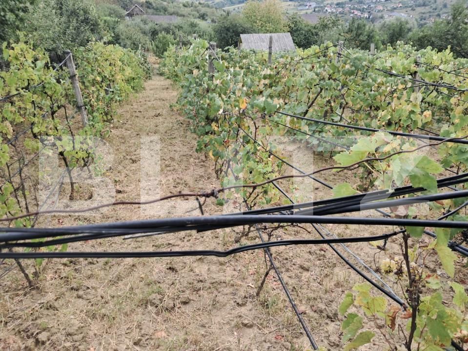 Casa de vânzare 2 camere Periferie - 157648CV | BLITZ Bistriţa | Poza5