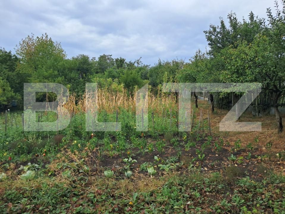 Casa de vânzare 2 camere Periferie - 157648CV | BLITZ Bistriţa | Poza6