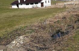 Casa Individuala 20km de Bistrita