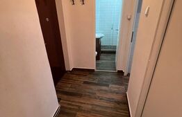 Apartament 1 camere zona Centrala 