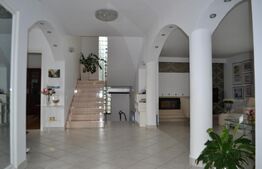 Casa-Vila cu multiple destinatii Unirea