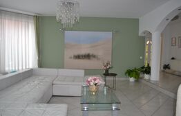 Casa-Vila cu multiple destinatii Unirea