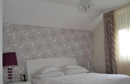 Casa-Vila cu multiple destinatii Unirea