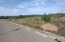 Casa 160mp utili+anexe+teren 67 ari intravilan,10 km distanta de Bistrita