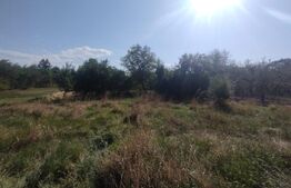 Casa 160mp utili+anexe+teren 67 ari intravilan,10 km distanta de Bistrita