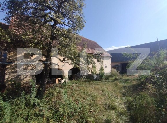 Casa de vânzare 4 camere Dorolea - 158056CV | BLITZ Bistriţa | Poza5