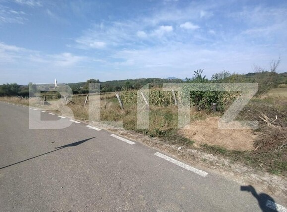 Casa de vânzare 4 camere Dorolea - 158056CV | BLITZ Bistriţa | Poza11