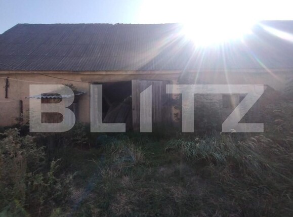 Casa de vânzare 4 camere Dorolea - 158056CV | BLITZ Bistriţa | Poza4