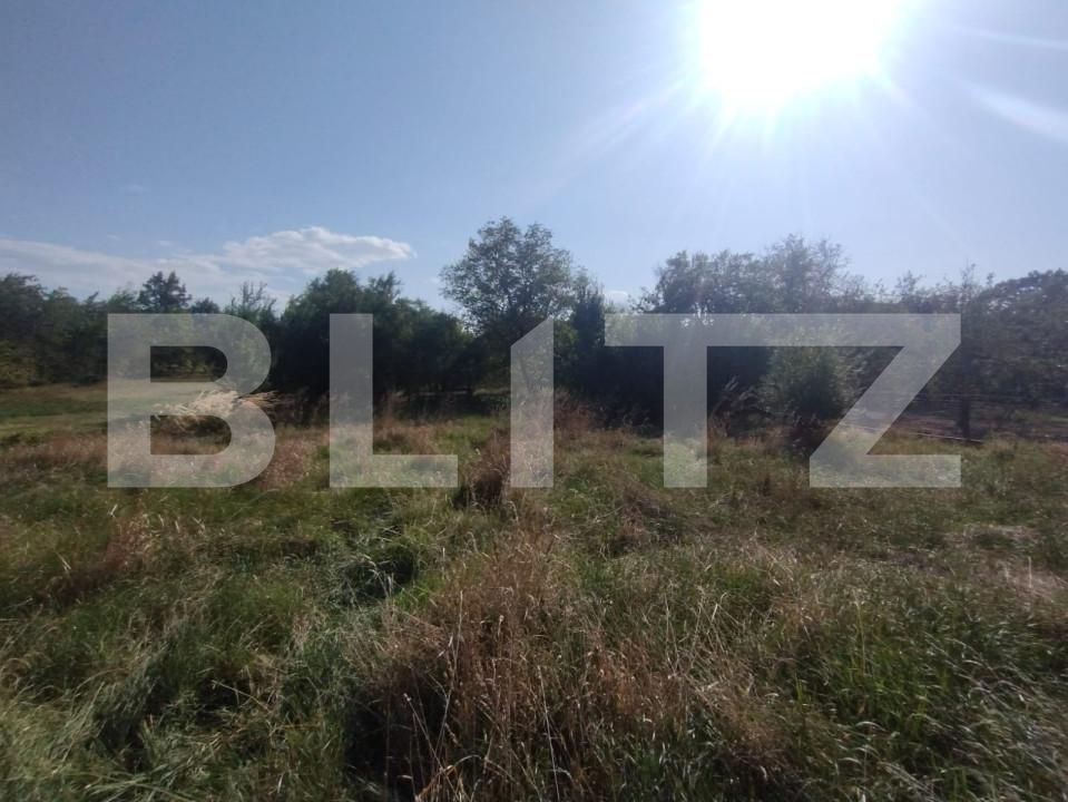 Casa de vânzare 4 camere Dorolea - 158056CV | BLITZ Bistriţa | Poza10