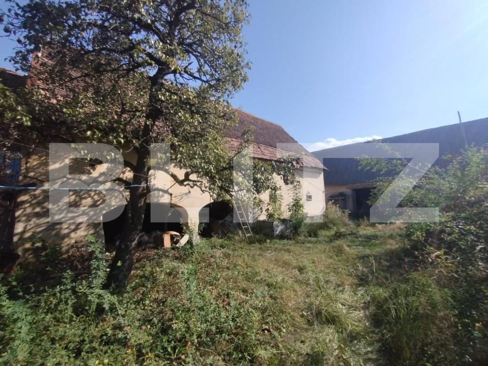 Casa de vânzare 4 camere Dorolea - 158056CV | BLITZ Bistriţa | Poza5