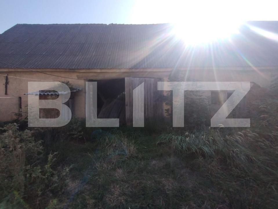 Casa de vânzare 4 camere Dorolea - 158056CV | BLITZ Bistriţa | Poza4