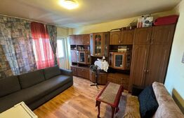 Garsoniera 30 mp, zona Independetei, bloc reabilitat 